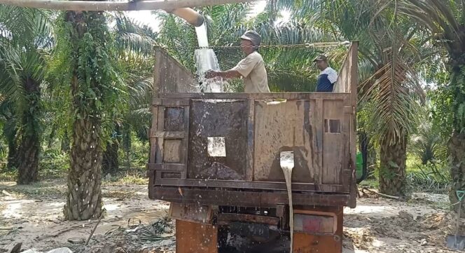 
					Pernah di Grebek Polisi beserta Forkopimcam , Tambang Pasir di Desa Tanjung Wangi Tetap Beraktifitas