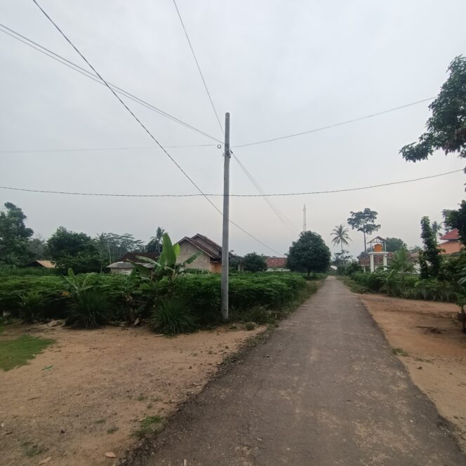
					Warga Lampung Timur Mendesak PLN Selesaikan Pemasangan JTR