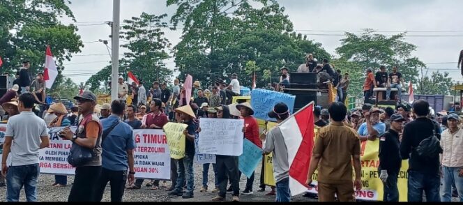 
					Petani Singkong Akan Duduki Pabrik di Lamtim,Bila Tak Ada Kepastian Soal Harga